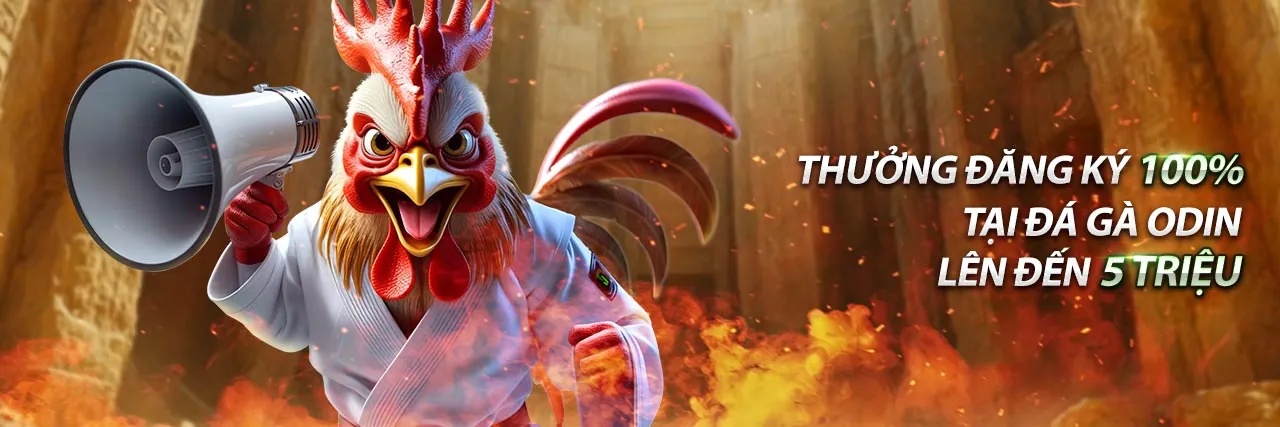 Cá cược thể thao sôi động tại vclub nhà cái